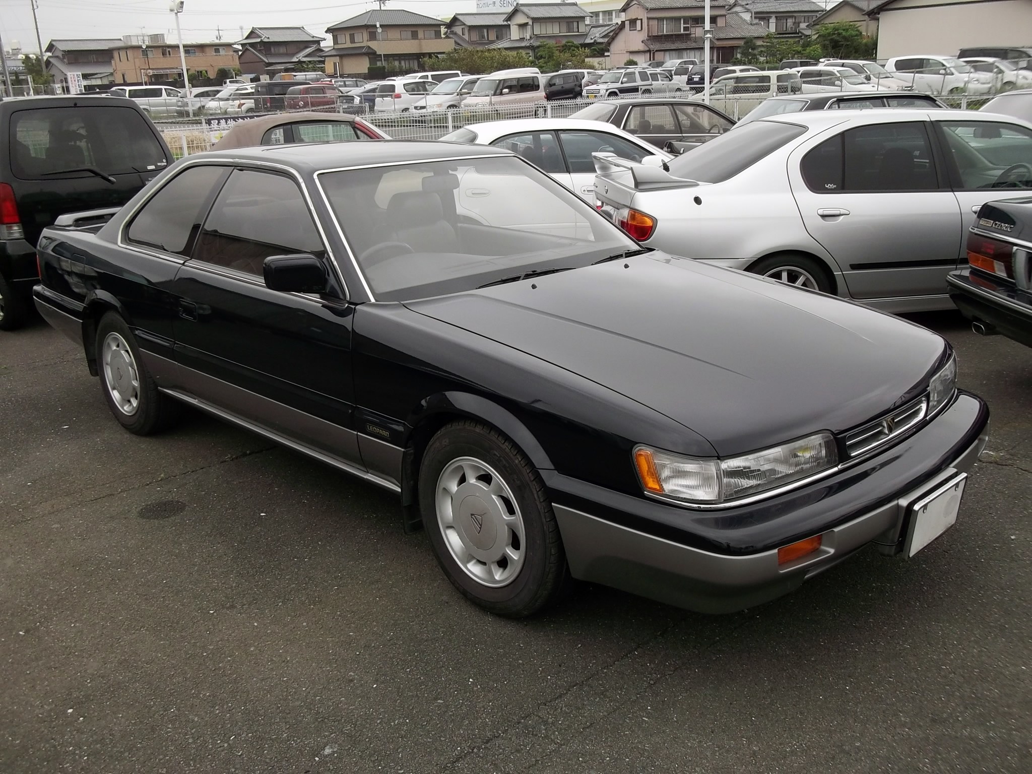 Leopard/レパード